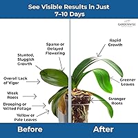 Vista 3 de Fertilizante Soluble en Agua 20-20-20 – Polvo para Alimento Líquido de Plantas para Plantas de Interior y Exterior, Orquídeas, Vegetales, Céspedes