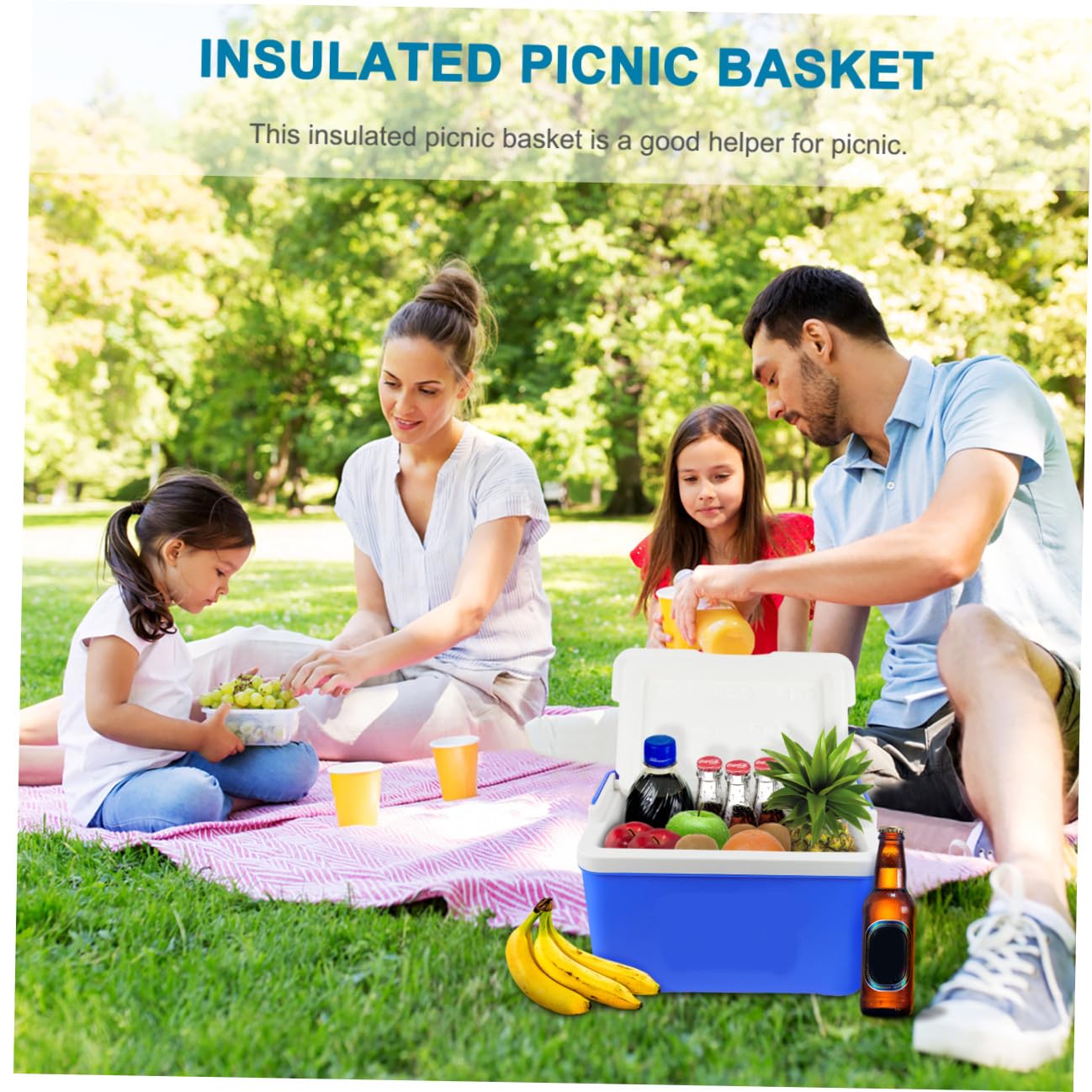 Toddmomy Cestino Refrigerante Portatile 12l in PVC con Manico, Box Termico per Alimenti Caldo e Freddo, per Picnic