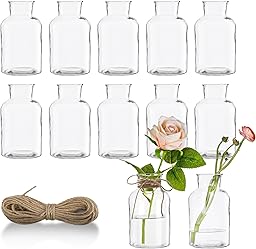 12 Stück kleine Vasen für Tischdeko 125ml Mini Glasvasen Set mit Juteschnur Vintage Design Exquisit Transparent Blumenvasen für Tischdeko Zuhause Hochzeiten Geburtstage Feste