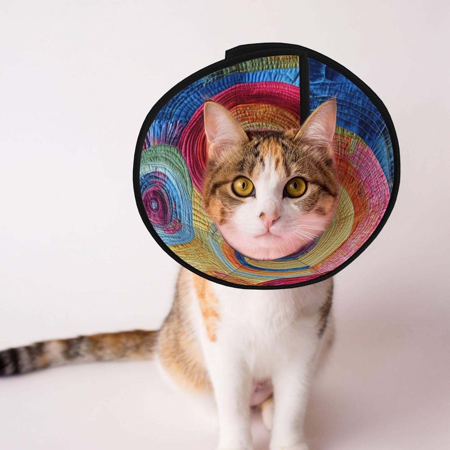 Custom Pet Cones - Unique Design Cat & Dog Cone, Collar for Post-Surgery Recovery, Adjustable Neck Rotating Scene Medium