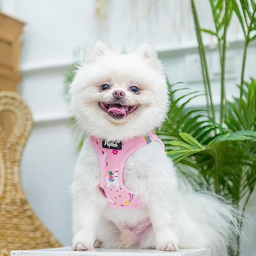 Miniatura 5 de PUPTECK Arnés de malla suave para perro y correa para cachorro, juego de collar para perros pequeños y medianos y gatos, chaleco reflectante