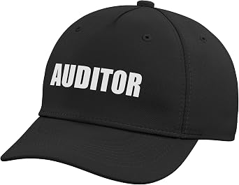 Auditor Adjustable Baseball Hat