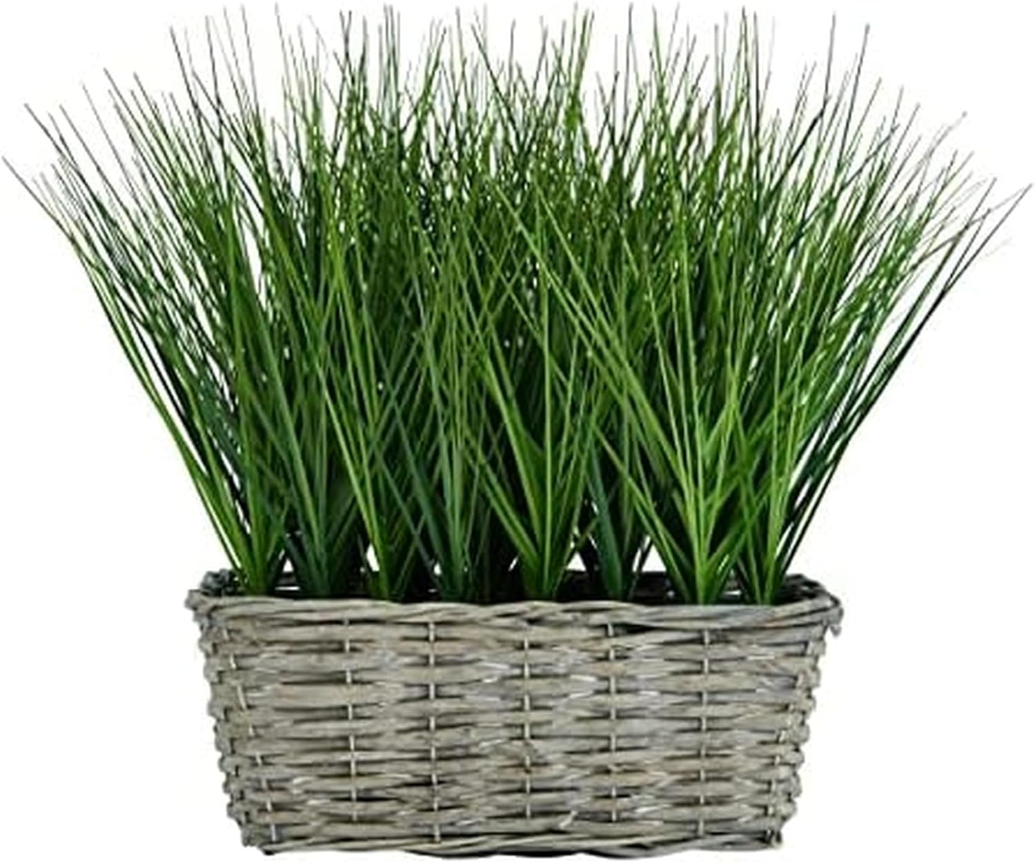 Elements Artificial Grass Plant in White Ceramic Pot, Realistic Look and Feel