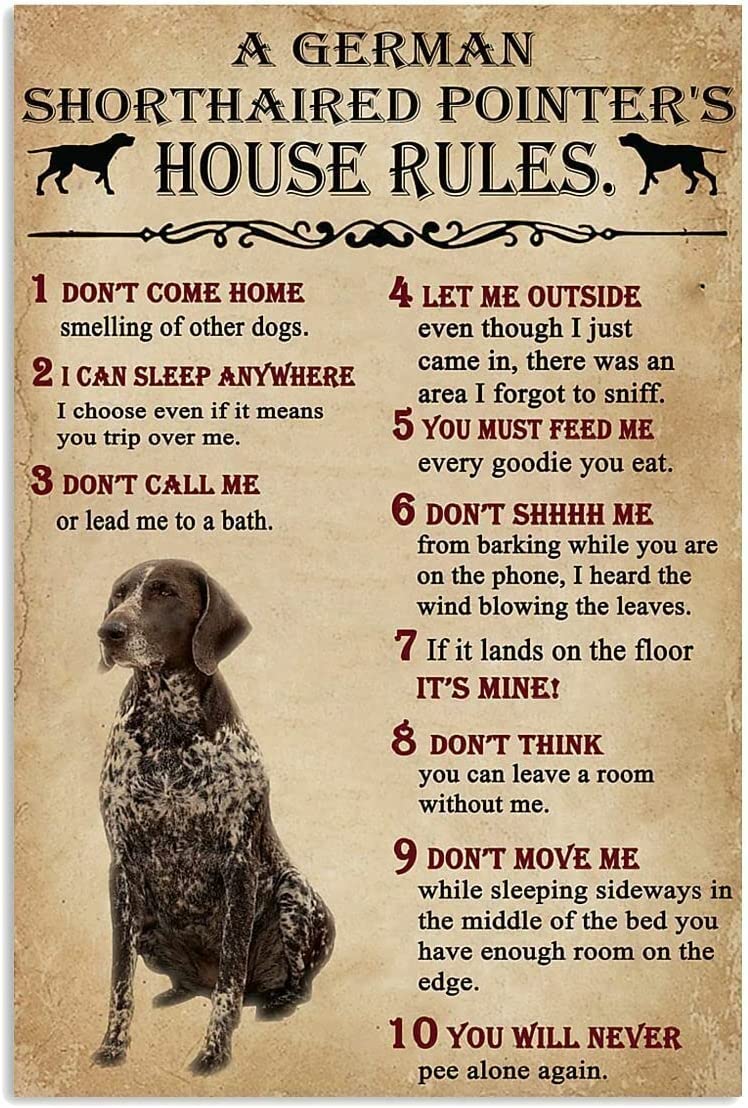 Homeoanimal Vintage Metal Sign German Shorthaired Pointer Rules Sign Vintage Funny Sign Retro Aluminum Tin Signs For Home Farm Garden Outdoor Garage 8X12 Inch