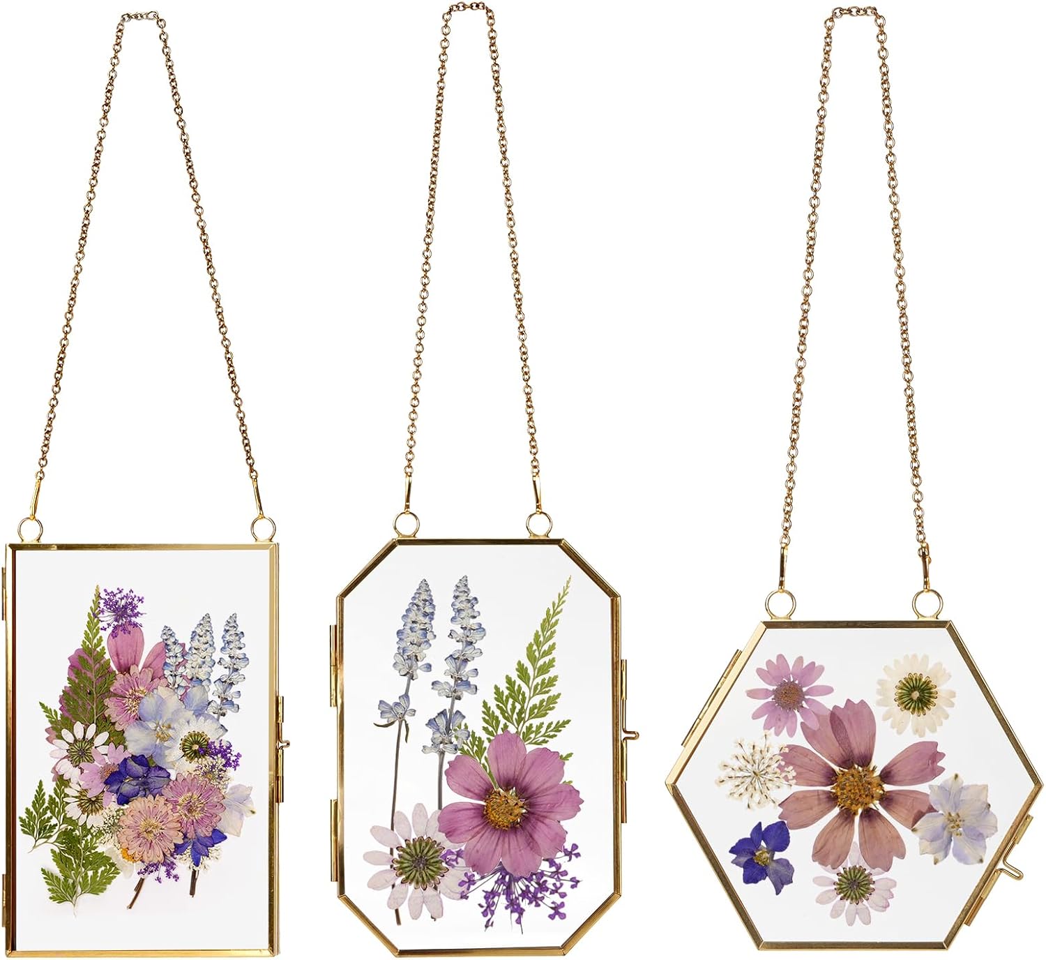 Pressed Flower Glass Picture Frames Hanging Frame Gold Floating Photo Frame Clear Horizontal Vertical Frames with Chain for Gallery Vintage Artwork Display (5 Sets, Dried Flowers Are Not Included)