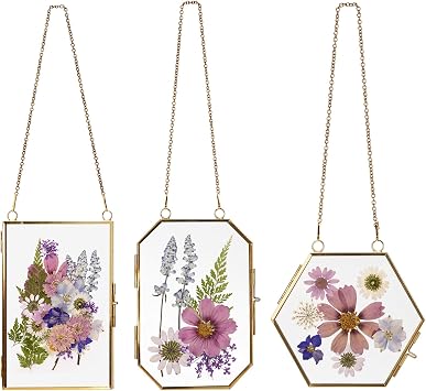 Pressed Flower Glass Picture Frames Hanging Frame Gold Floating Photo Frame Clear Horizontal Vertical Frames with Chain for Gallery Vintage Artwork Display 3 Sets