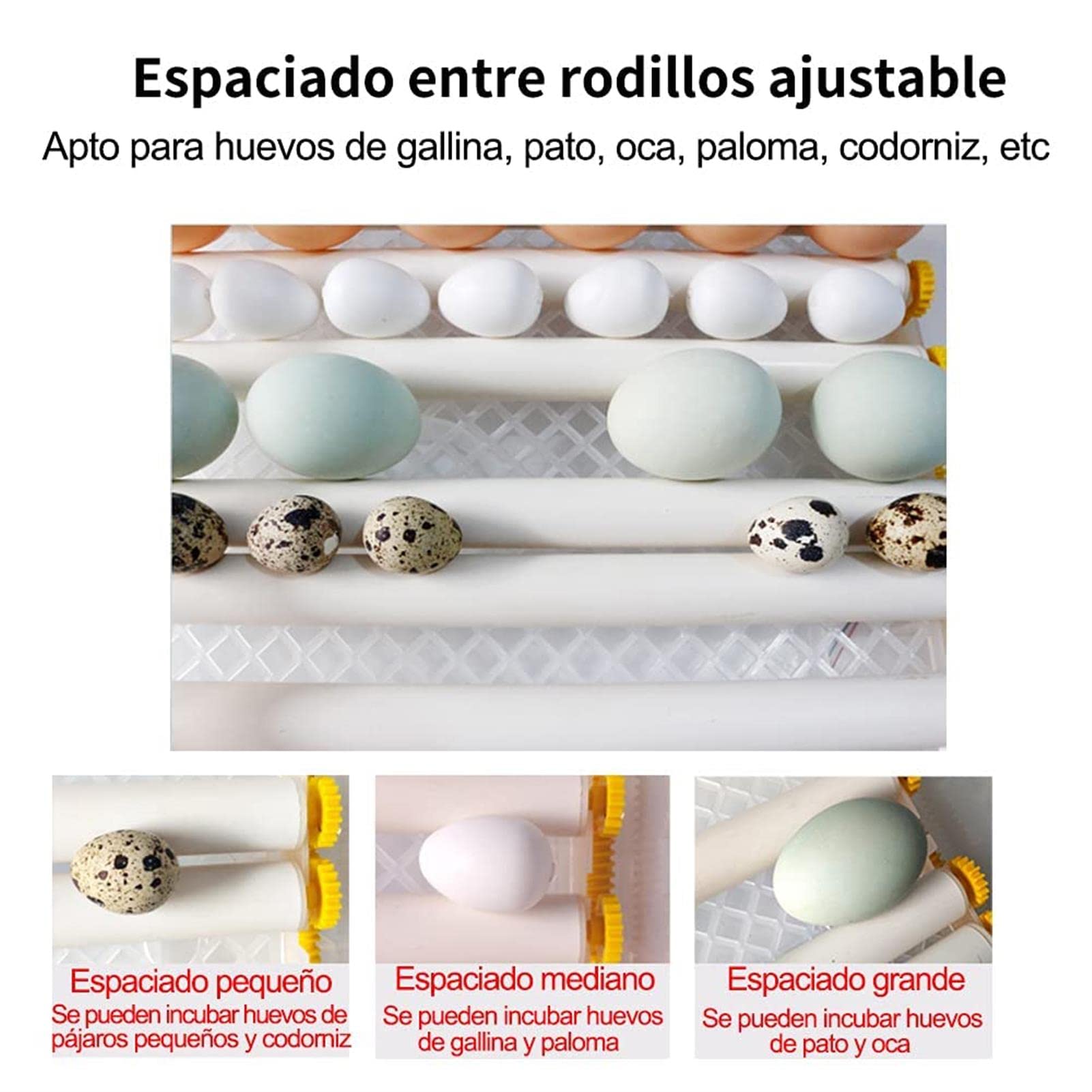 Incubadora de Huevos, incubadoras de Huevos para incubar Huevos, Control automático de Temperatura, incubadora de Huevos de codorniz, monitoreo de Humedad
