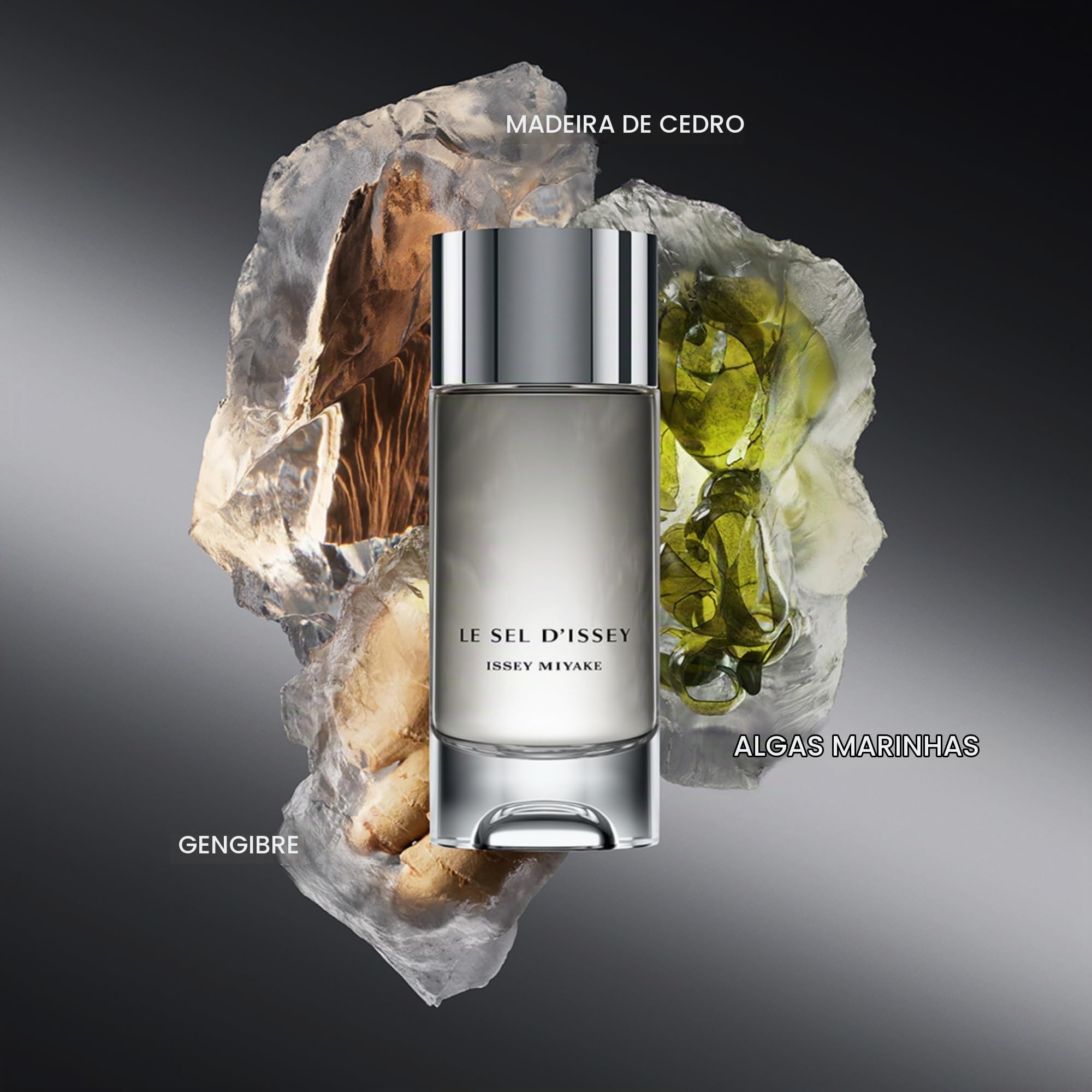 Issey Miyake Le Sel d?Issey Eau de Toilette - Perfume Masculino