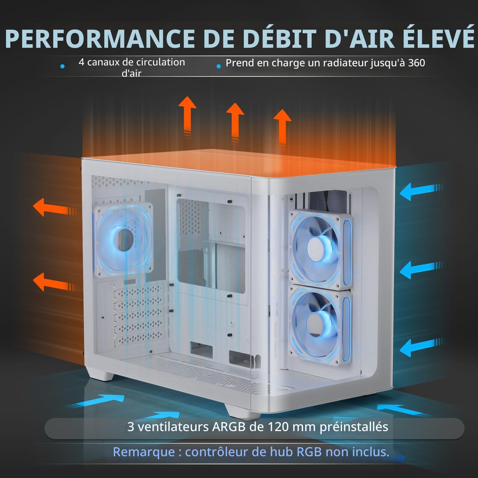 darkFlash Boîtier PC de Jeu Micro-ATX MATX avec 3 Ventilateurs ARGB de 120 mm, Vue panoramique Double Verre trempé, Port USB 3.0, Prend en Charge Double AIO 360 mm, Blanc (DPW90M)