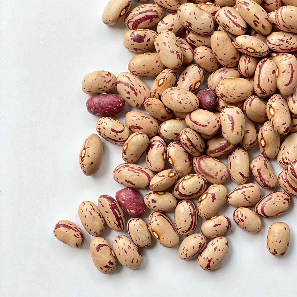 FAGIOLI BORLOTTI ITALIA | Il Contadino | Legumi Secchi (5 Kg)