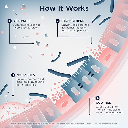 Miniatura 3 de Designs for Health Anaerostipes Probiotic - 1 mil millones de AFU de probióticos productores de butirato para apoyo a la salud intestinal,