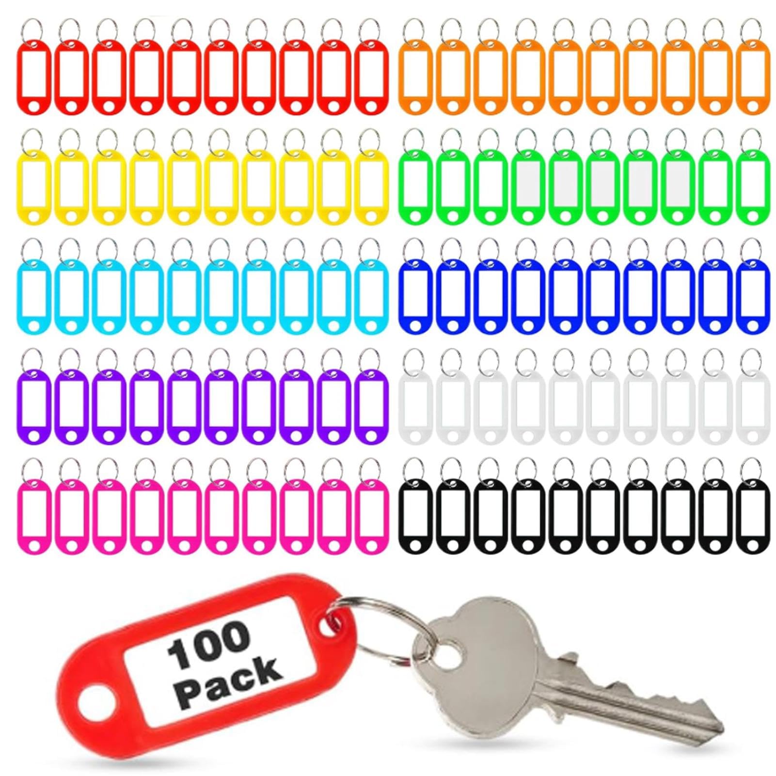 100 PCS Key Tags with Labels, 10 Colors 4.7x2cm Plastic Key Fobs with Split Rings, Durable ID Tags for Keys, Luggage, Pets and Home Organization
