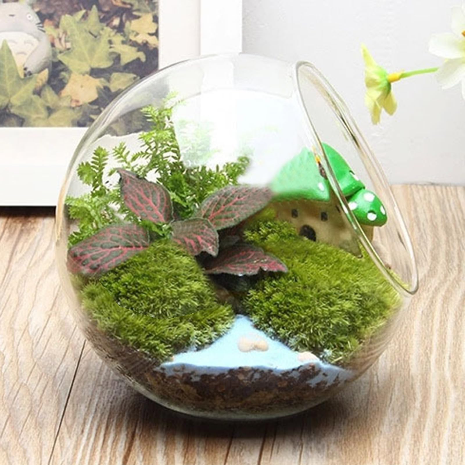 Terrarium de en Verre,Terrarium de,Récipient de Terrarium en Verre Rond | Pot de Fleurs pour, conteneur de à Air, pièce maîtresse d'affichage de décoration de Maison en Verre pour Miniature succulen