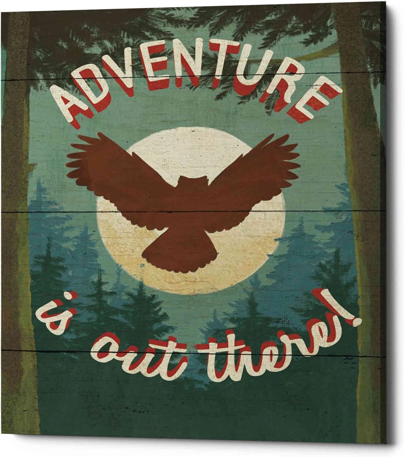 Epic Graffiti 'Discover the Wild IV' by Janelle Penner, Canvas Wall Art, 12"x16"