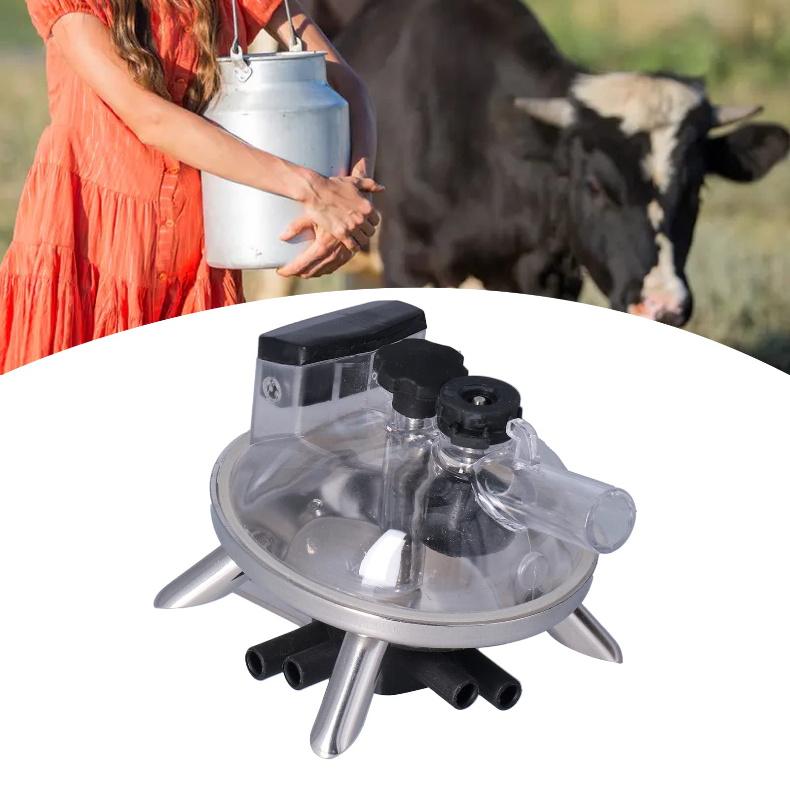 Collecteur de Lait de Vache 240ML Accessoires de Machine à traire agricole faciles à Installer avec Base en Acier Inoxydable