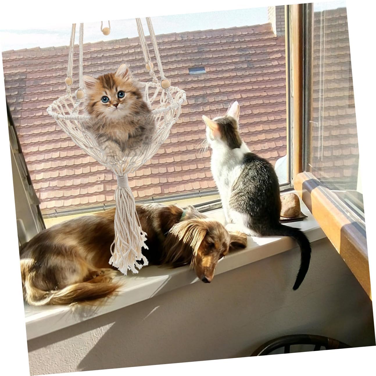 DOITOOL Bohemian Woven Hanging Cat Nest 40cm Wear-Resistant Decorative Cat Hammock for Indoor and Kittens to 30lbs