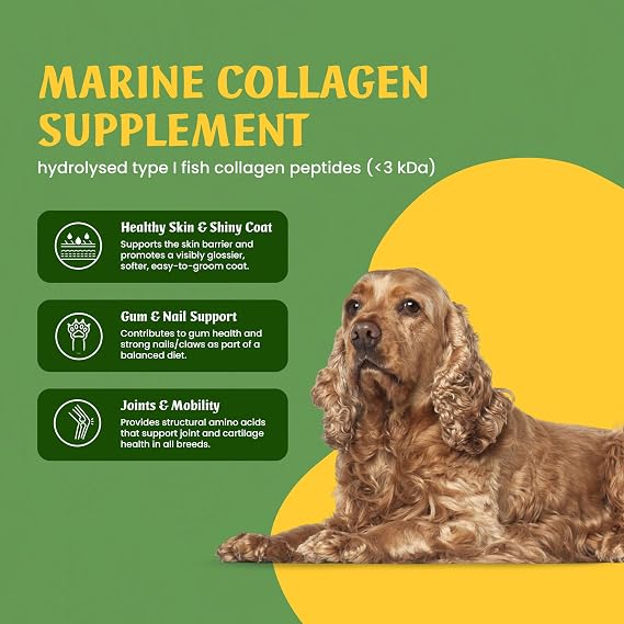 Marine Collagen for Dogs, 120 Capsules x 500mg, Skin, Coat & Gums Support