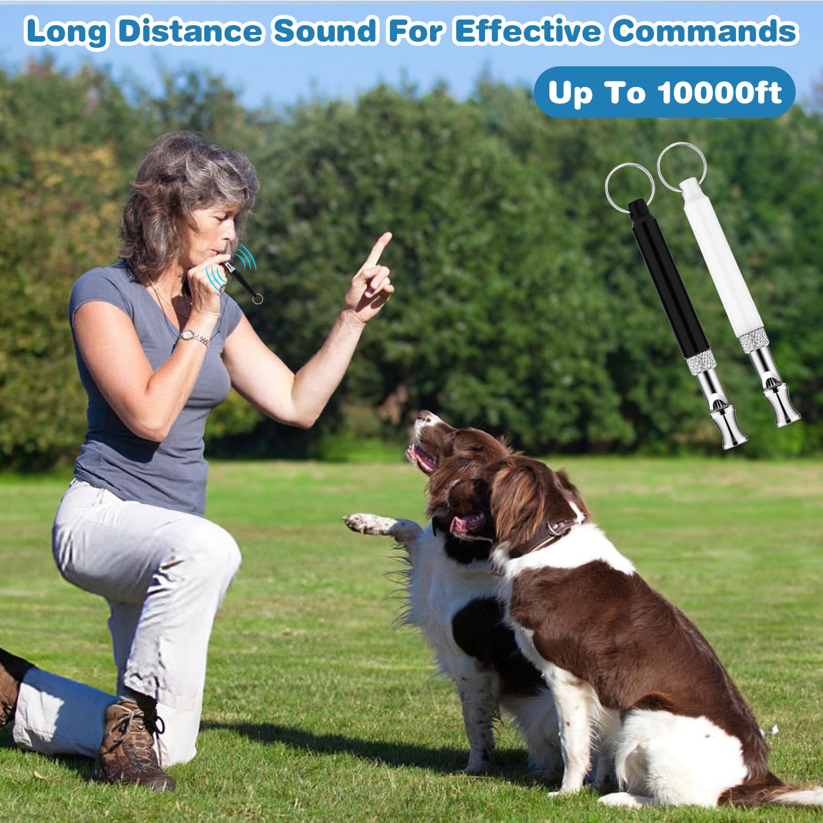 Lot de 2 sifflets professionnels pour arrêter les aboiements, sifflets professionnels de dressage de chiens avec cordon, outils de dressage à ultrasons réglables noir et blanc pour arrêter les