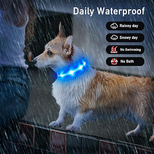 Miniatura 6 de Collares iluminados para perros pequeños, medianos y grandes, collar de perro LED ajustable, collar recargable con brillo suave para perros y gatos,
