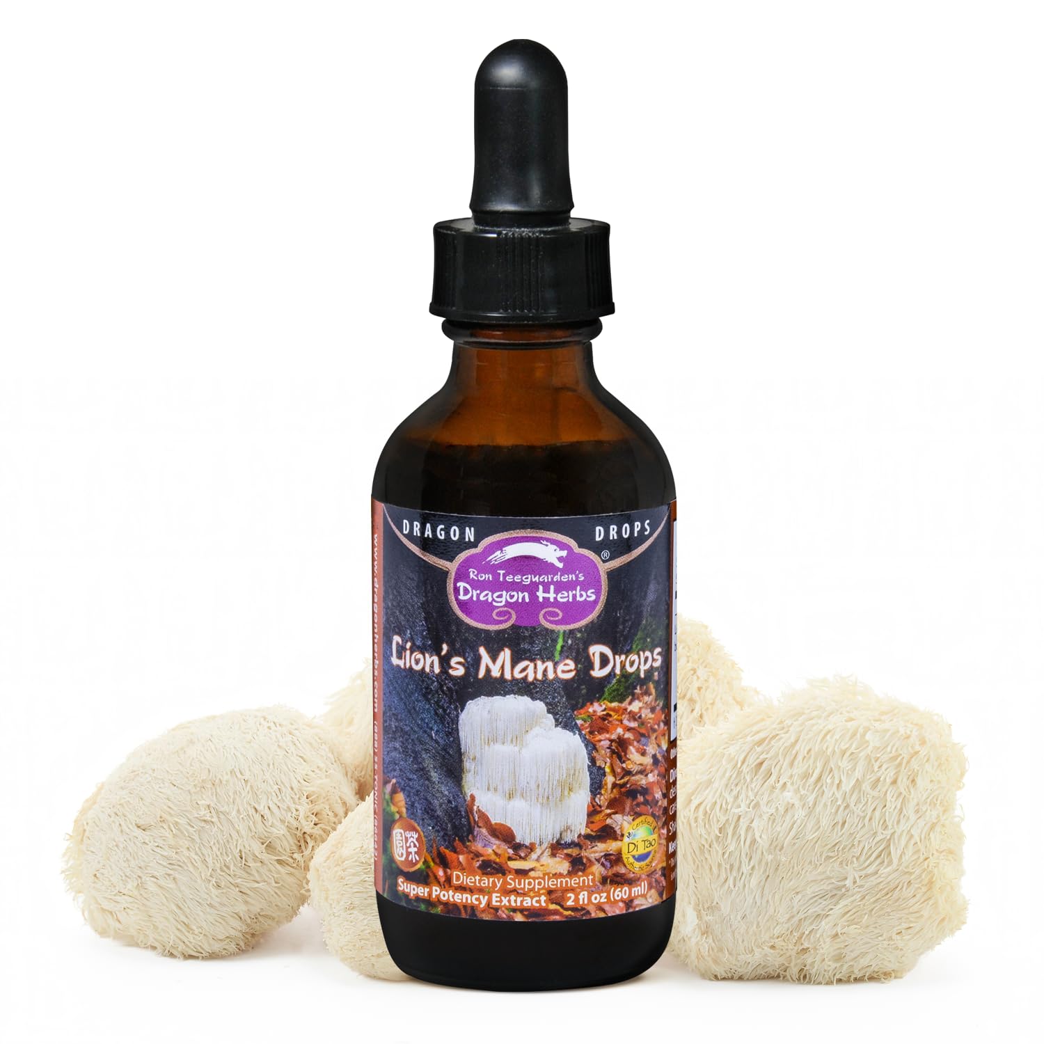 Dragon Herbs - Lion's Mane Drops - 2 fl oz