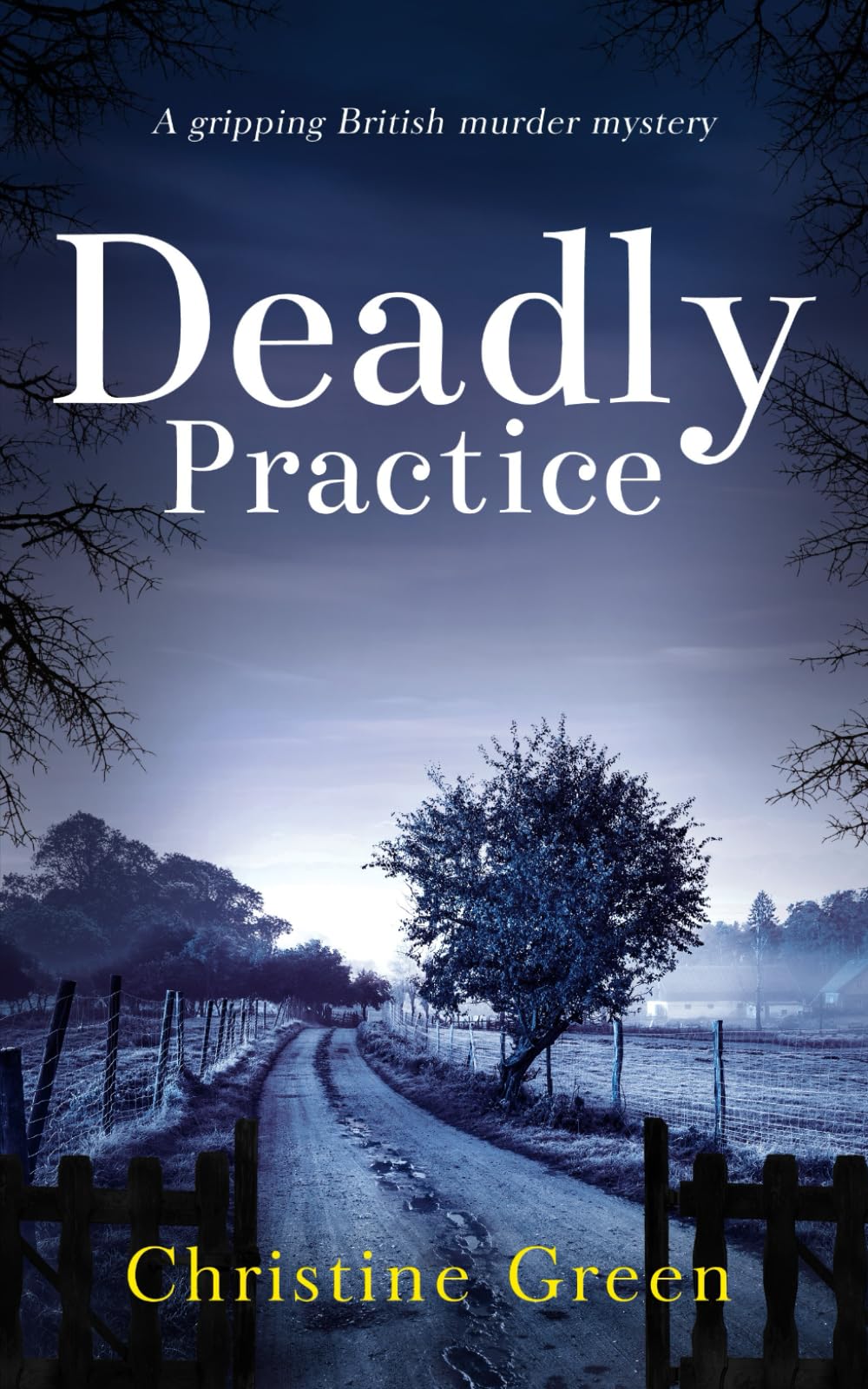 DEADLY PRACTICE a gripping British murder mystery (Kate Kinsella Mysteries)
