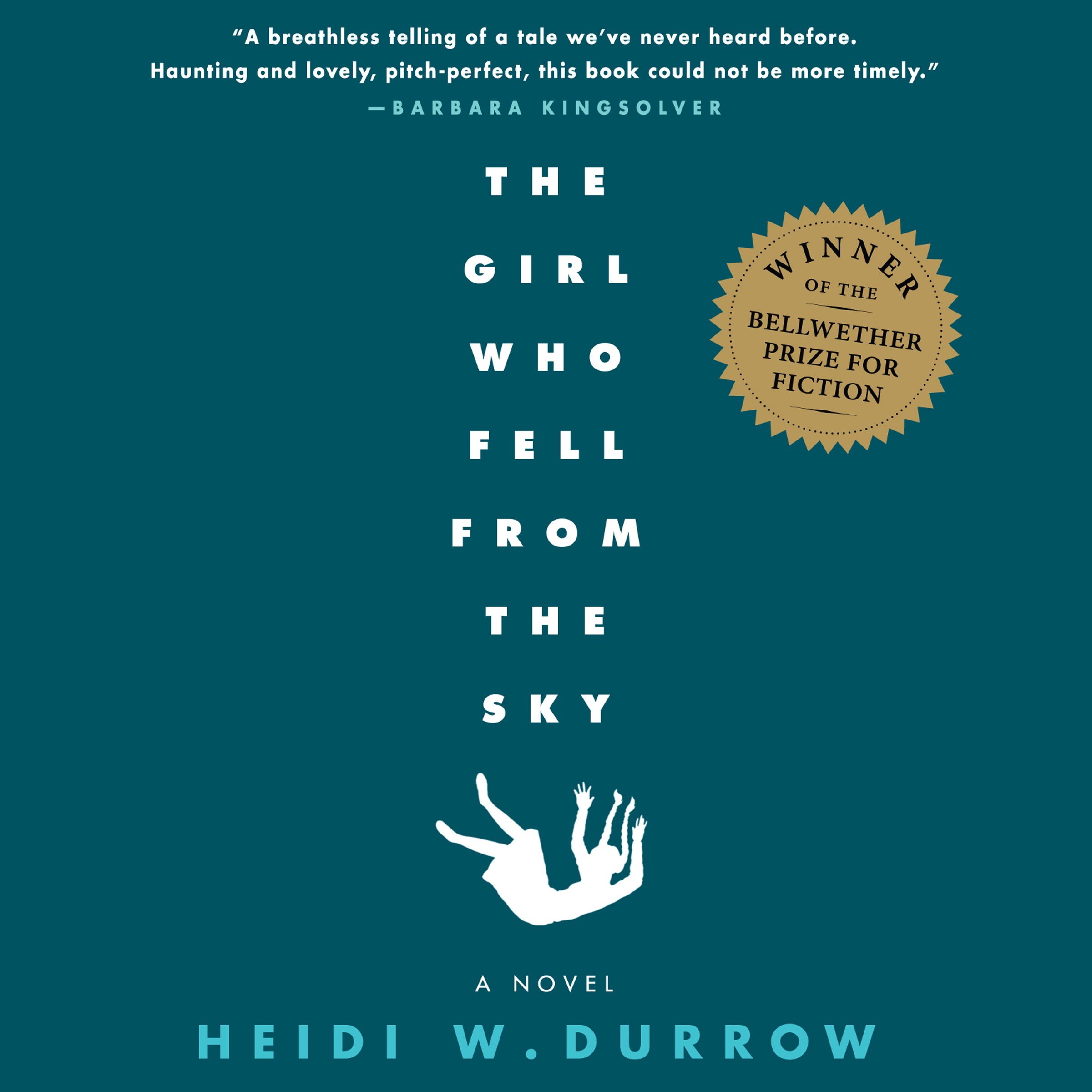Cover art for The Girl Who Fell from the Sky