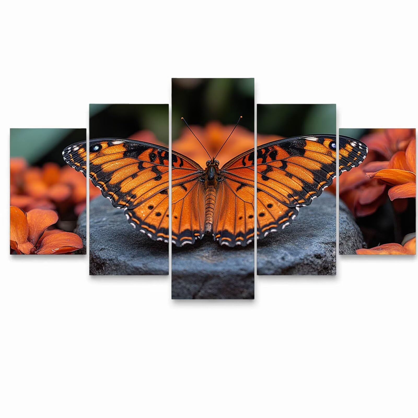 5 Pack Leuchtend Malen Nach Zahlen Erwachsene Schmetterling YCBZ-3381 | DIY Set Erwachsene mit Pinselset Acrylfarben Set Fünf Leinwand zum Bemalen Tier für Deko Wohnzimmer Geschenke für Frauen