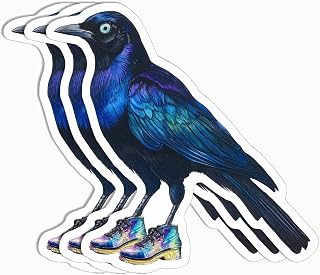 3Pcs Austin Grackle Sticker - Bird Sticker - Cute Sticker - Sticker for Water Bottle - Luggage - Phone - Laptop - Mug - Computer