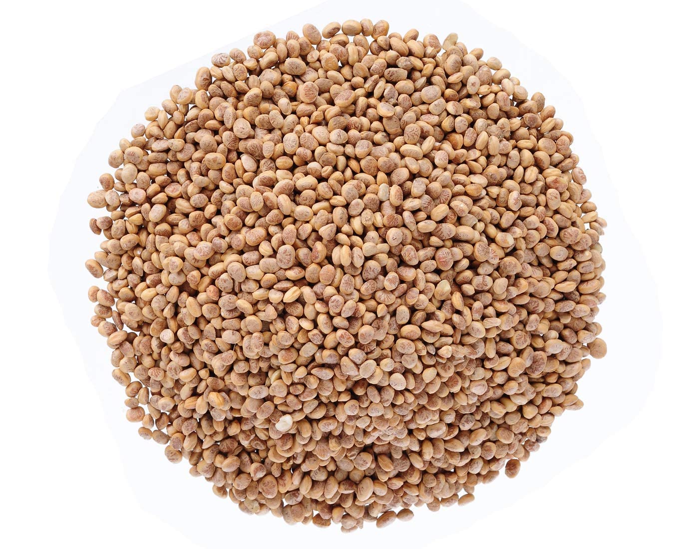 See full amazon price history chart for Herbanuts Chironji 200gms, Almondette Seeds, Chironji Dry Fruits, Charoli, Almondette kernels, Chironji Seeds Herbanuts Chironji 200gms, Almondette Seeds, Chironji Dry Fruits, Charoli, Almondette kernels, Chironji Seeds (B09QT5VX4V) Amazon Price History, Amazon Price Tracker