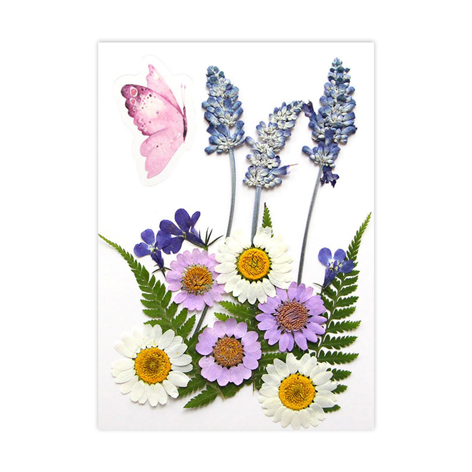 PANGBOER Dried Pressed Flower Art Craft Embellishment Supply for Resin Mold Bookmarks Jewelry Making Scrapbooking Dried Flower Florets