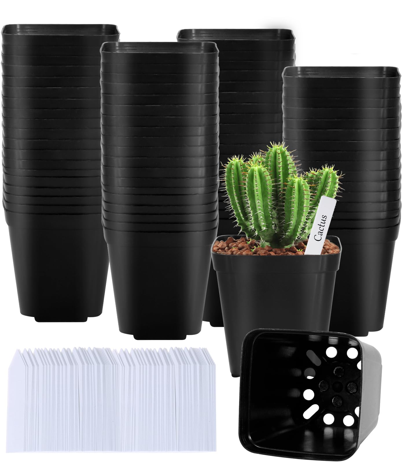 100 Piezas Macetas para Semillas, Macetero para Plantas de Semillero, Macetas Plastico, Maceta Cuadrada, con 100 Etiquetas para Plantas, para Semillas, Suculentas, Jardines