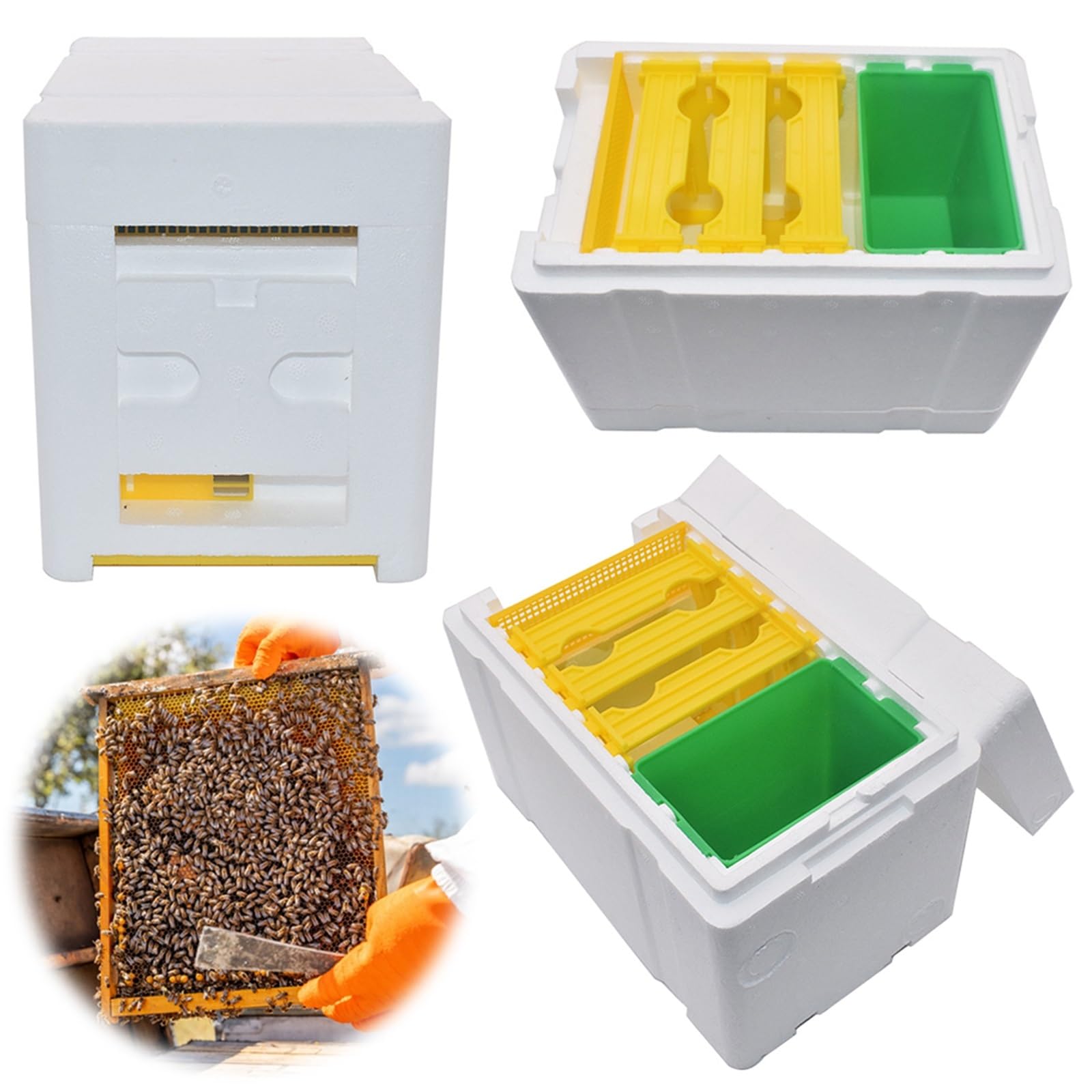 Boîte à abeilles en mousse, boîte polyvalente for l'élevage de reines, boîte d'accouplement for abeilles, élevage de reines, ruche for apiculteurs