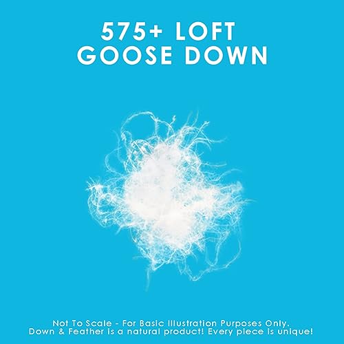 Miniatura 4 de Canadian Down & Feather Co. - Paquete de 2 almohadas de plumón de ganso blanco suave, tamaño estándar, carcasa de 260 hilos, 100% algodón, relleno