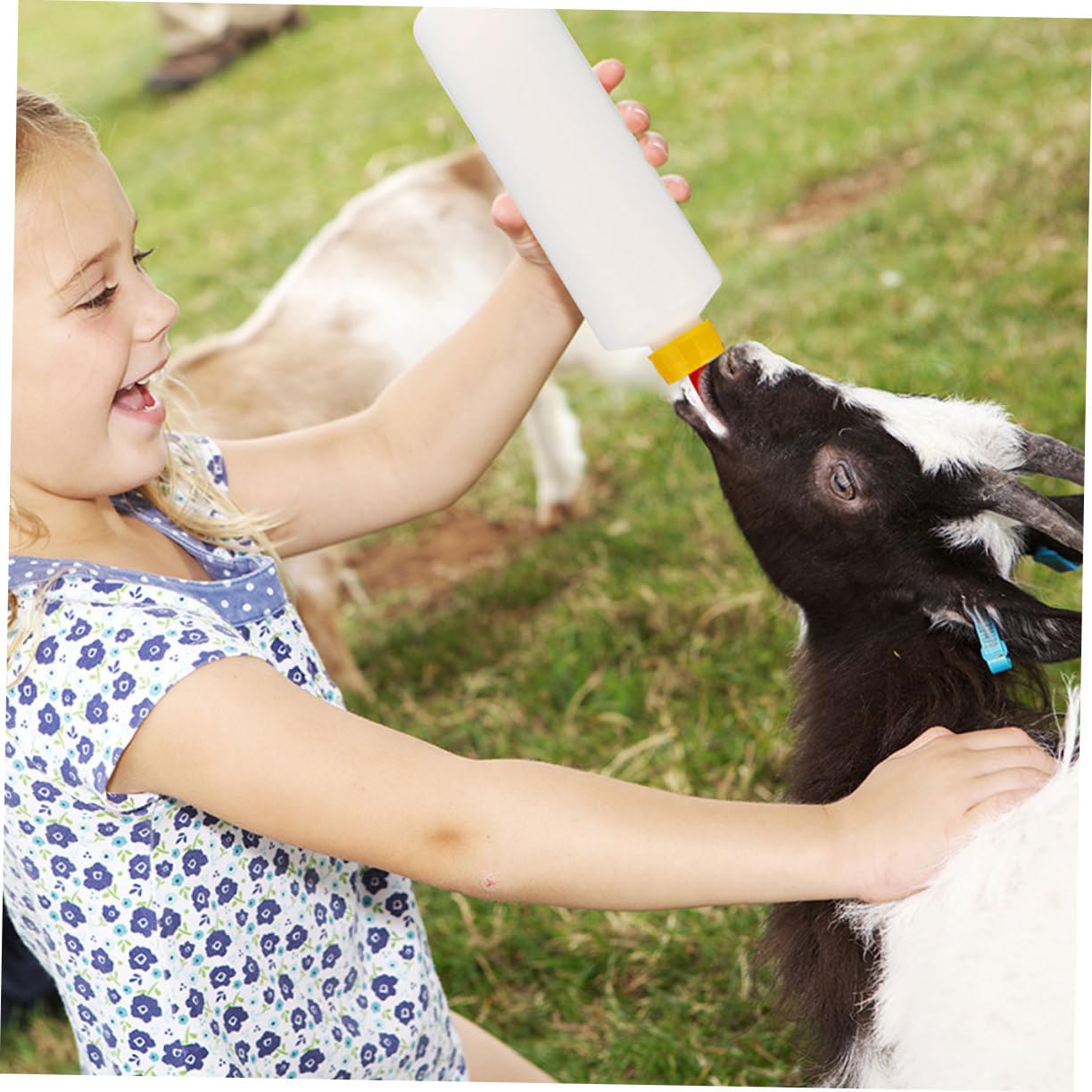 GALPADA 4 Set biberon assistenza infermieristica Neonato bottiglie neonati latte forniture per l'alimentazione degli agnelli biberon per l'alimentazione degli animali plastica