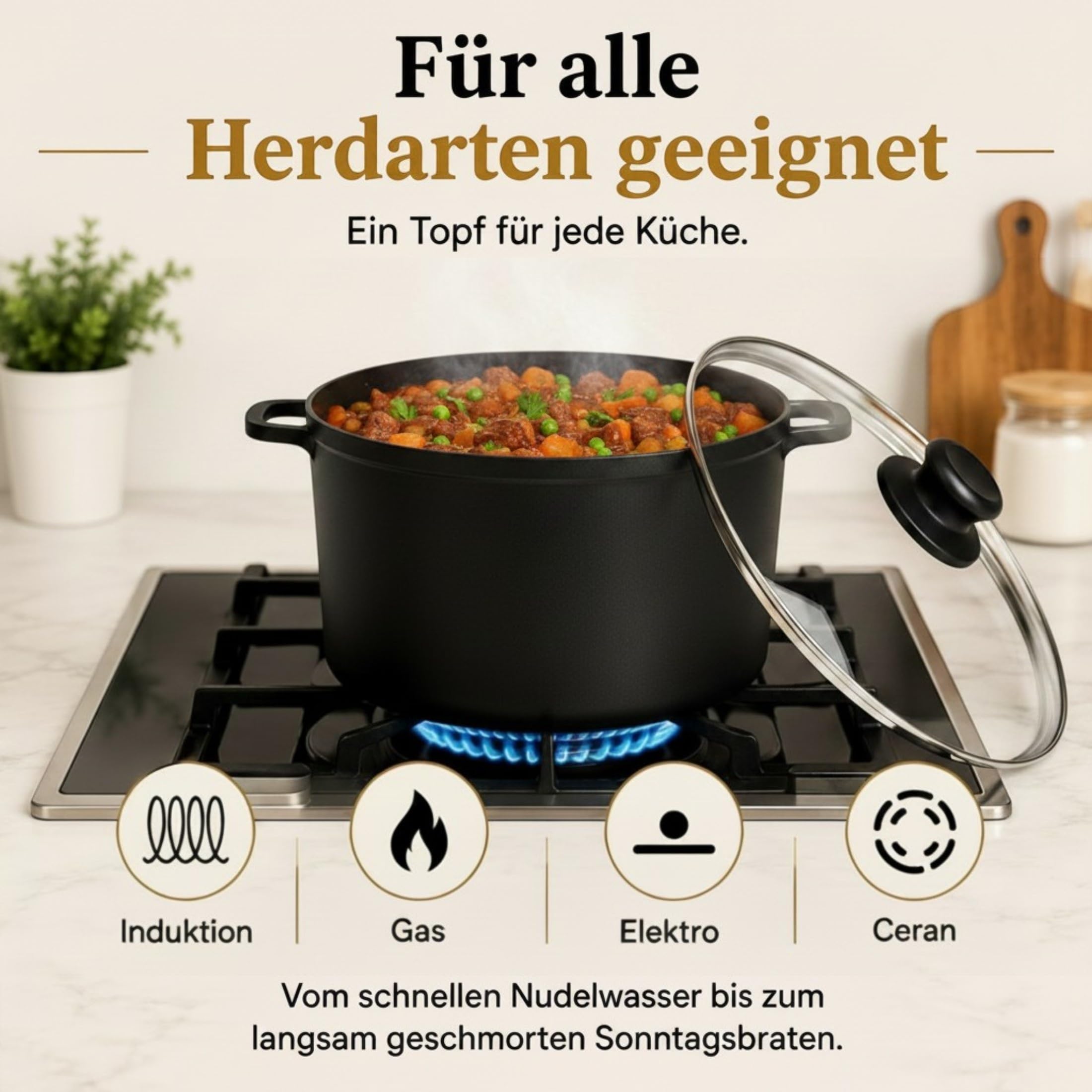 Kochtopf 10L mit Deckel Ø 28 cm – Aluminiumguss Kochtopf, Antihaftbeschichtung, Induktion geeignet, Suppentopf, Schmortopf, Universaltopf, Schwarz