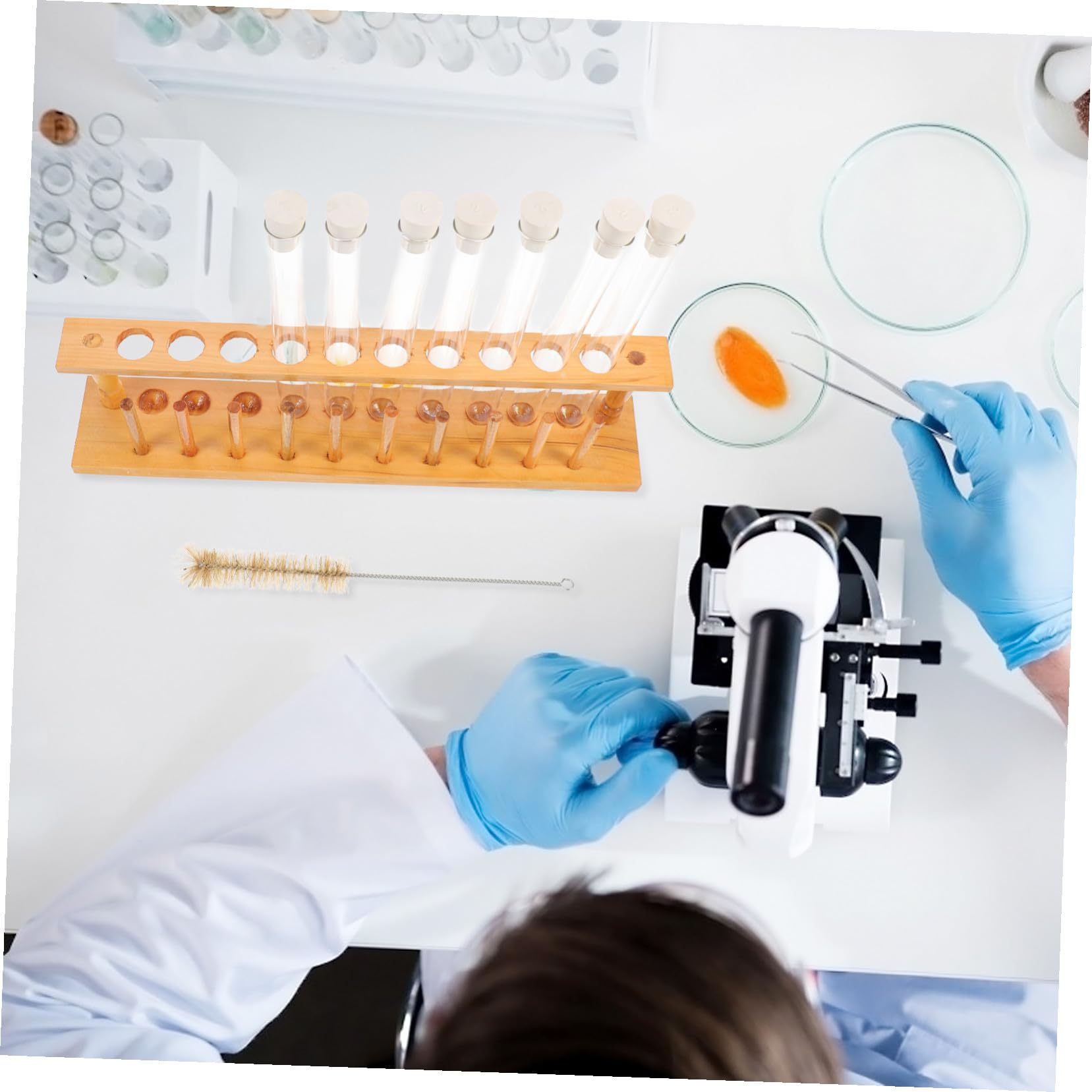 Mikinona Set 10 Provette in Vetro Con Tappo, Portaprovette in Legno a 10 Fori e Spazzola Per Pulizia, Attrezzatura Per Esperimenti Chimici Sicura e Resistente Per Laboratorio e Didattica