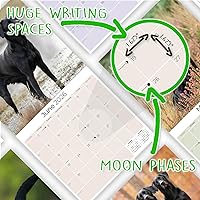 Vista 996 de Razas de Perros 2017