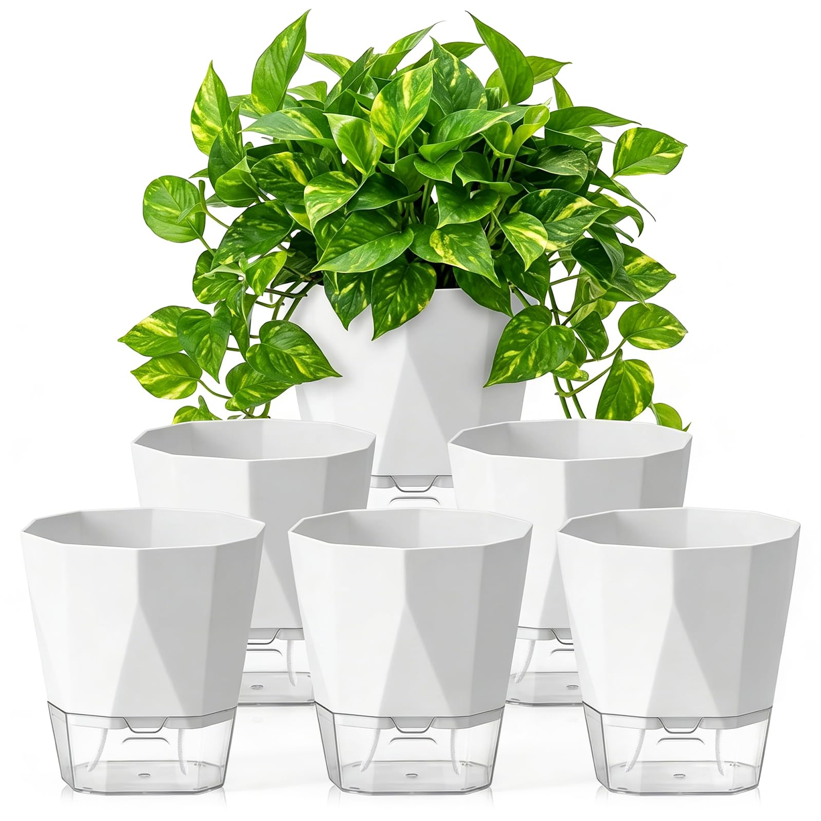 6 Macetas Con Riego Automático De 12.5 Cm – Sistema Autorriego Con Indicador De Nivel De Agua Y Depósito Transparente, Ideales Para Hierbas Y Plantas De Interior