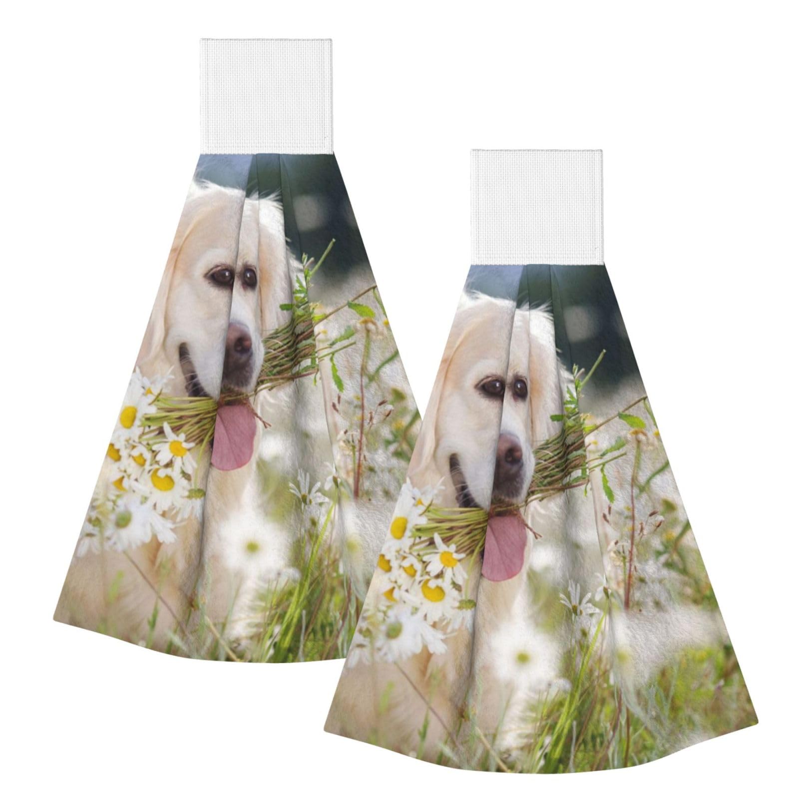 DOPKLNA Golden Retriever, 2 Pcs Hanging Coral Fiber Hand Towels for Bathroom, Absorbent Kitchen Towels