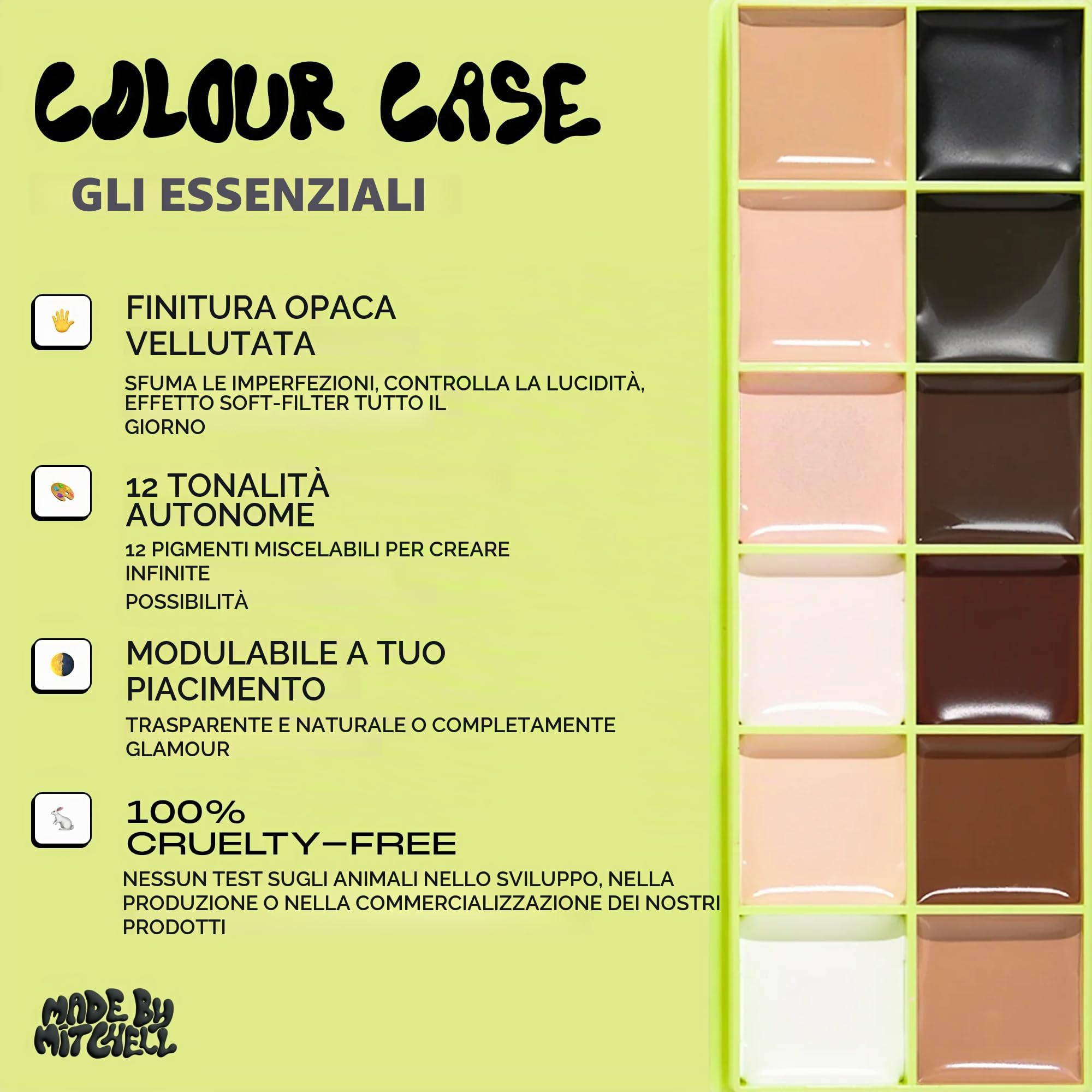 Colour Case - Palette di colori cosmetici e set di pennelli (The Essentials)