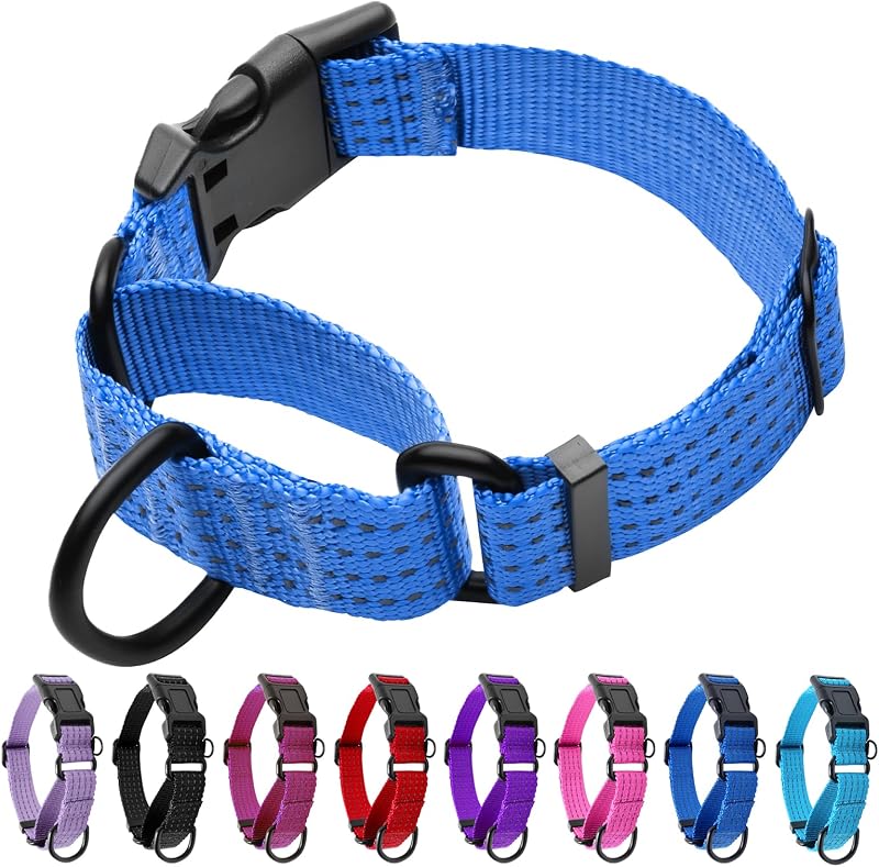 Coleira Martingale para Cães JOOCPUP com Faixas Refletivas e Fivela de Engate Rápido, Azul, M