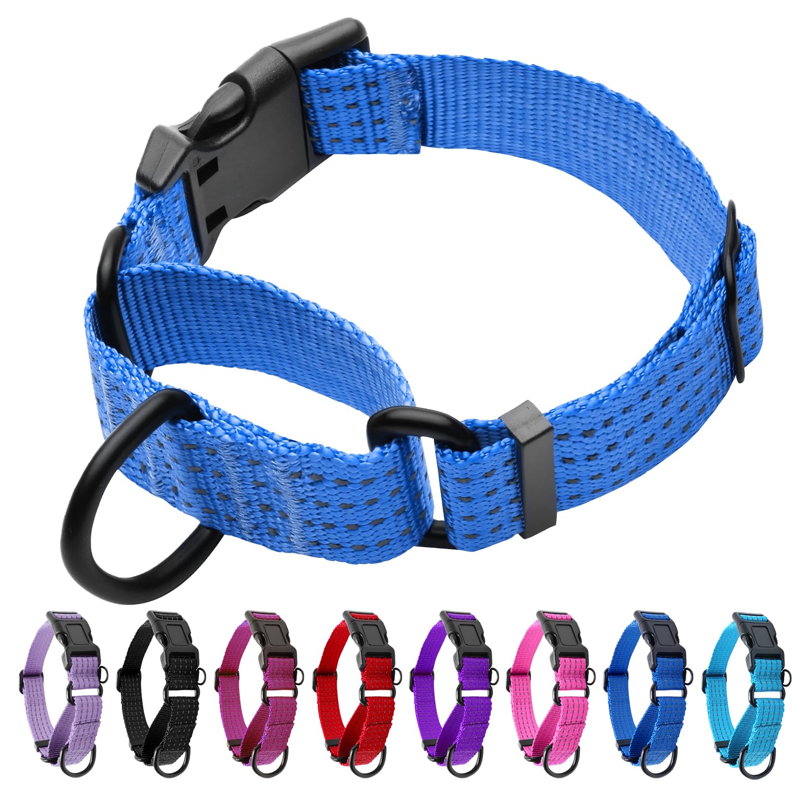 Martingale Dog Collar, Reflective No Pull with Buckle, Blue, M