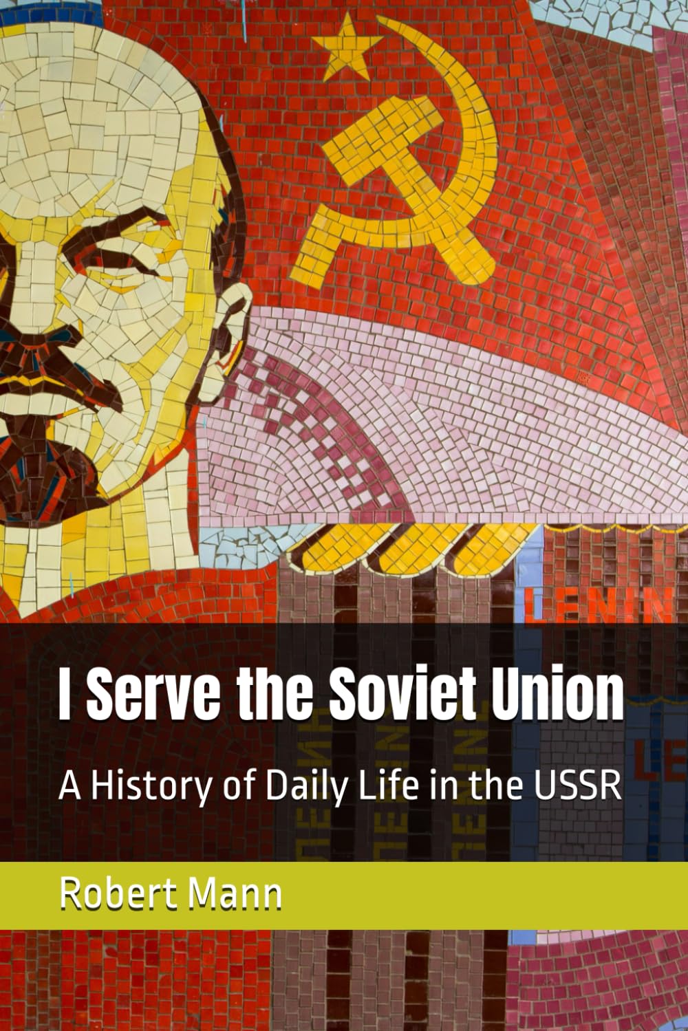 I Serve the Soviet Union: A History of Daily Life in the USSR