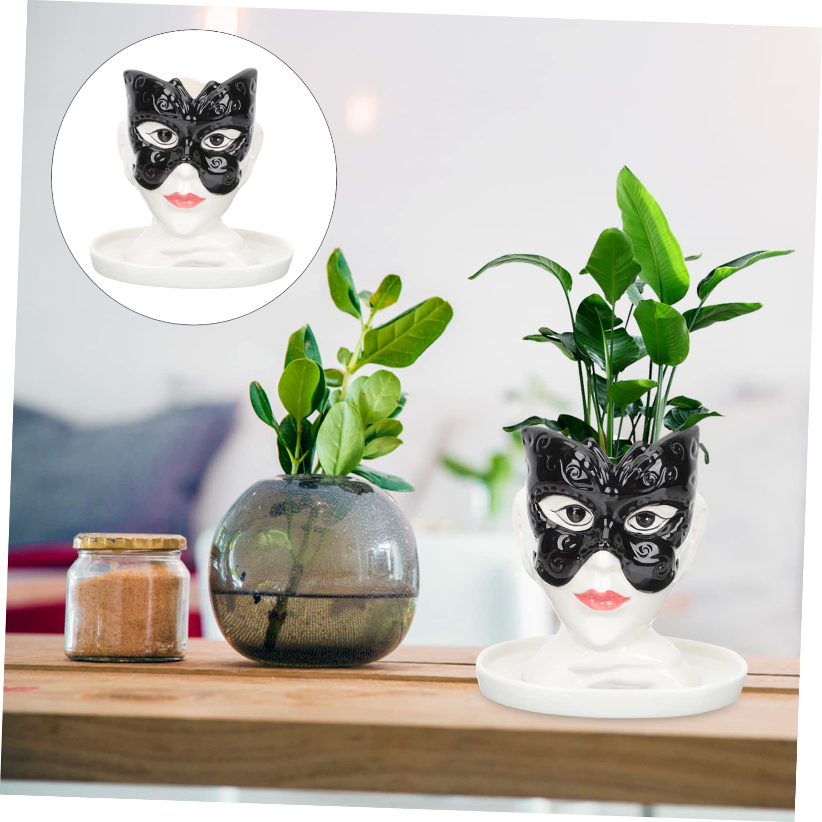 ミニキャラクター多肉植物植木鉢 ミニキャラクター多肉植物植木鉢