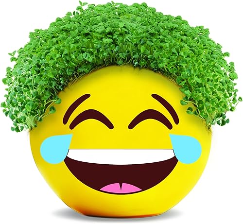 Miniatura 84 de Chia Pet Trolls, Poppy World Tour con paquete de semillas, maceta decorativa de cerámica, fácil de hacer y divertido de cultivar, regalo novedoso