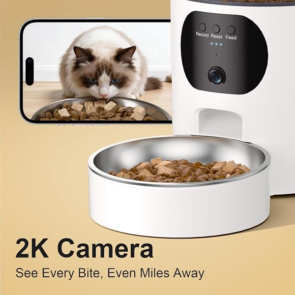 Automatic Cat Feeder with 2K Camera, 5G WiFi 6.5L Smart Pet Feeder for Cat & Small Dog, Automatic Dog Feeder with Night Vision, 2-Way Audio, Motion Detection, Feeding Schedule & App Control - 2