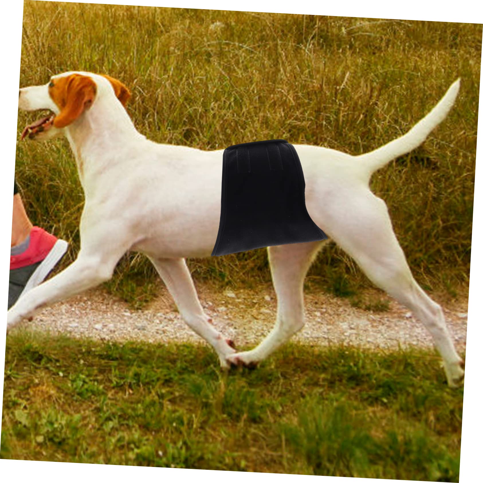 INOOMP 3pezzi Pannolino Riutilizzabile Per Cani Maschi Fascia Addominale Lavabile Protezione Contro Perdite Per Uso Domestico Design Comodo e Leggero Taglia Media
