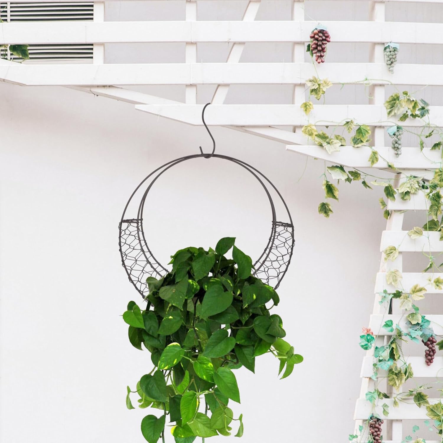 Air Plants Holders Wire Wreath Frame Hanger, 11 inch Moon Shape Wreath Form Hanging Plant Holder Metal Hanging Orchid Planter Plant Basket Holder, Succulent Wire Wreath Frame with Hook (Pack of 2)