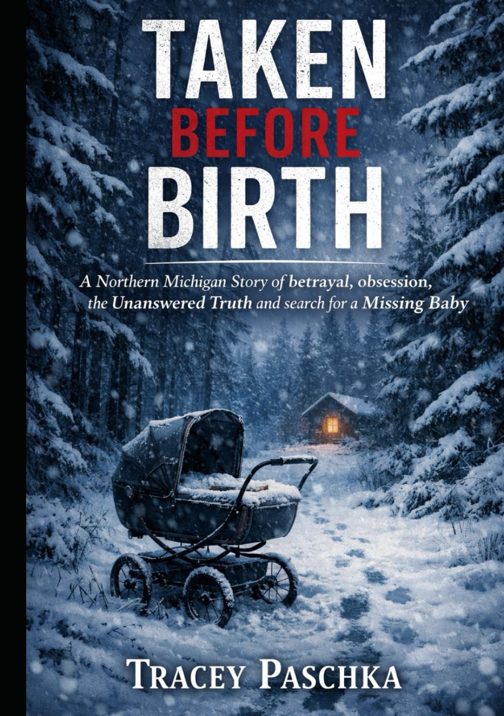 Taken Before Birth: A Northern Michigan Story of betrayal, obsession, the Unanswered Truth and search for a Missing Baby