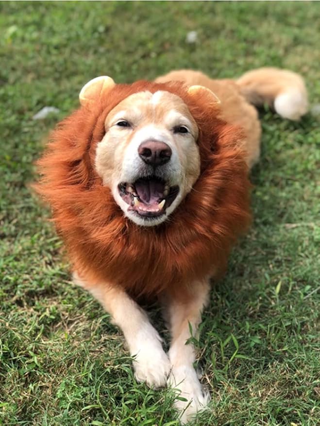 Disfraz de Melena de León Realista para Perros Tamaño Grande miniatura 6